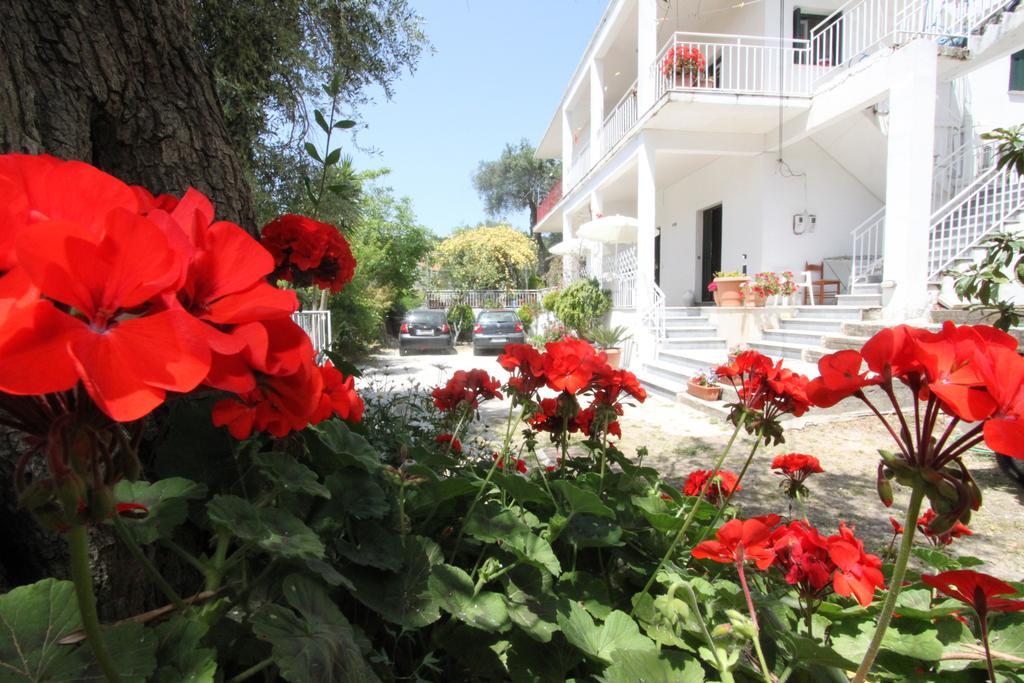 Angeliki Studio and Apartment Gaios Exterior foto